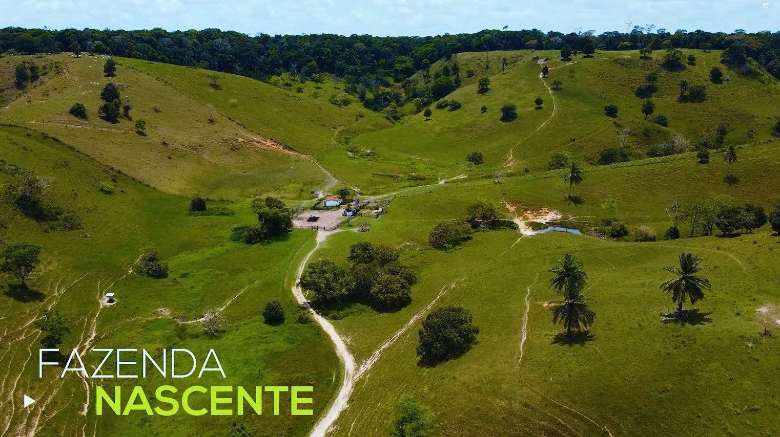Fazenda à venda com 164 hectares a 17km de Água Preta - PE